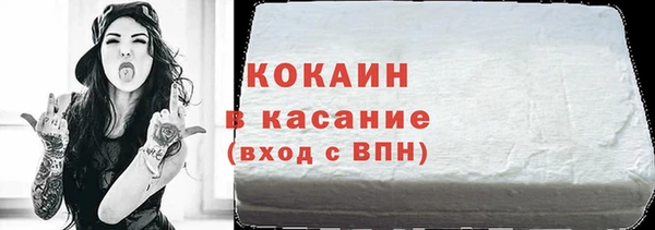 твердый Богородицк