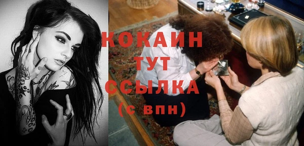 винт Богданович