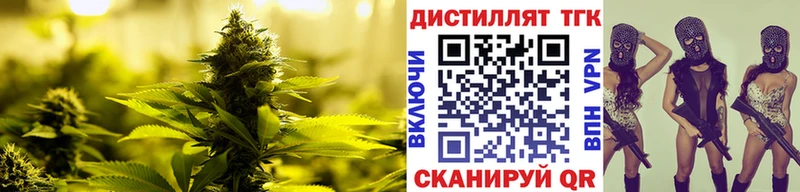 дарнет шоп  Костерёво  Дистиллят ТГК жижа 