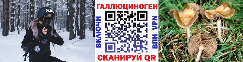 Галлюциногенные грибы Cubensis  мориарти какой сайт  Костерёво  как найти закладки 